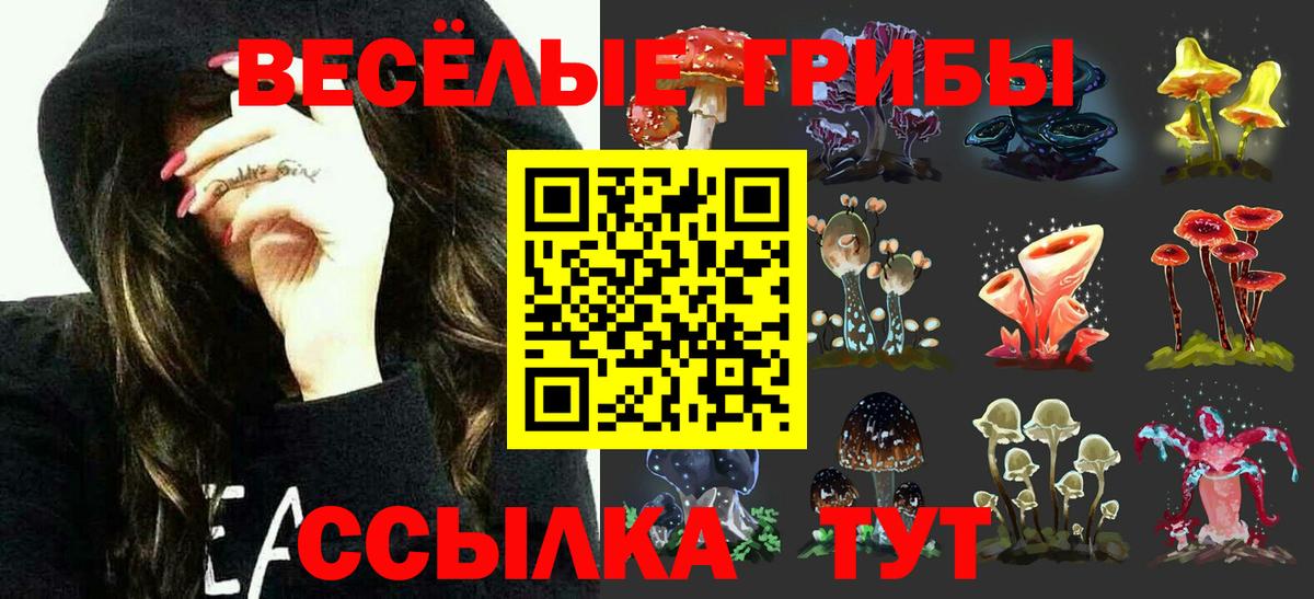 Воскресенск  Галлюциногенные грибы Psilocybine cubensis  Вход с VPN 