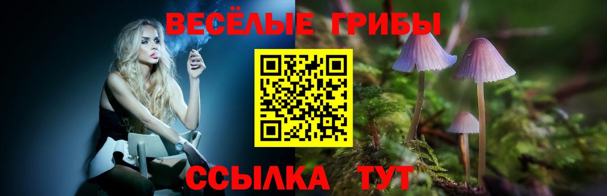 Галлюциногенные грибы мухоморы Воскресенск